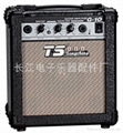 TS Guitar Amplifier