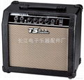 TS Guitar Amplifier 1