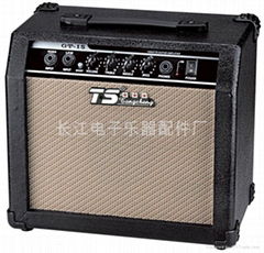 TS Guitar Amplifier