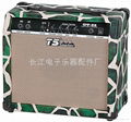 TS Guitar Amplifier