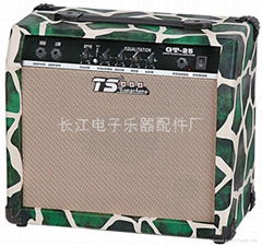 TS Guitar Amplifier 