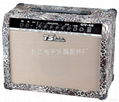 TS Guitar Amplifier