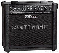 15W Guitar Amplifier