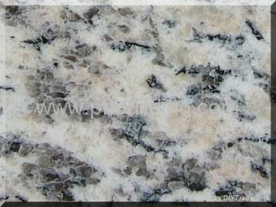 Granite Tiger Skin White
