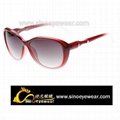 2012 Designer Sunglasses  2