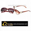 2012 Fashion Sunglasses