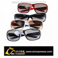 2012 Fashion sports sunglasses 1