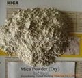 various of mica