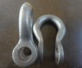 Screw Pin Anchor Shackle