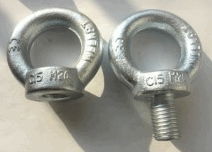  Forged Eye Bolt