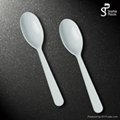 Plastic spoon