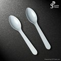 Plastic spoon 2