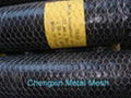 hexagonal wire mesh 1