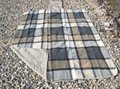 Picnic rug, picnic blanket 4