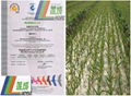 全球良好农业操作认证 1