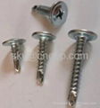 galvanized roofing screws