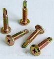 black phosphate drywall screw  3