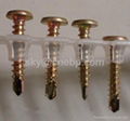 black phosphate drywall screw  4