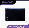 9900BB battery for Blackberry J-M1 1