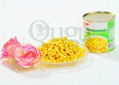 best canned sweet corn 5