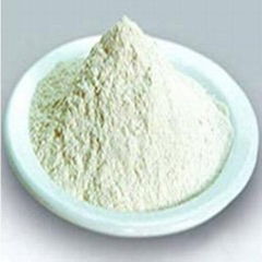 Ferrous Sulphate.