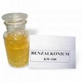 Benzalkonium Chloride 1