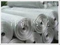 welded wire mesh 1