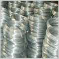 electro galvanized wire  2