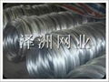 hot dipped galvanized wire 2