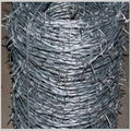 barbed wire