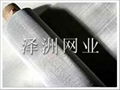 stainless steel wire mesh 1