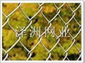 chain link fence 4