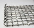 crimped wire mesh 3