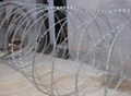 barbed wire 3