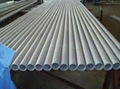 Boiler Tubes