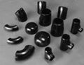 Stainless Steel Fittings 4