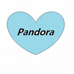 Wuhan Pandora Import & Export Company