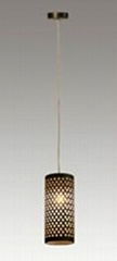 wholesale top quality modern fashion style pendant lamp