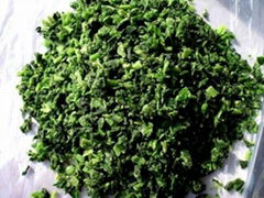 IQF spinach cut