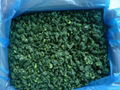 IQF spinach cut 2