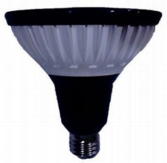 High Efficient LED PAR30