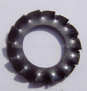Conical Serrated Lock Washer External Teeth 3