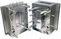 Injection mold