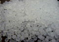 LLDPE(Linear Low Density Polyethylene ) 1