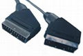 Scart Cable