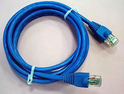 Network Cable