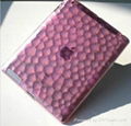 Ipad 2 Smart Cover---The Water Cube 4