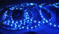 Best-selling SMD5050 led strip light