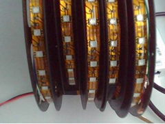 SMD 5050 60LED strip light waterproof IP65