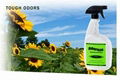 Odoreze Eco Multi Purpose Odor Control Spray: Makes 64 Gallons 1